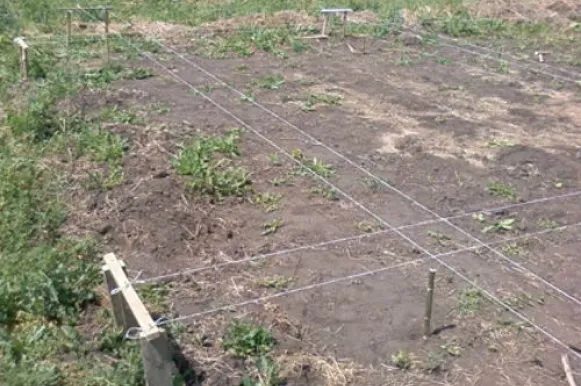 Працівники роблять розмітку для фундаменту