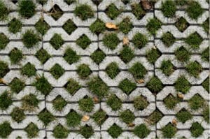 Облаштування зовнішніх зон підприємств