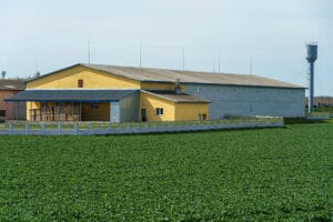 Переваги сучасних торгових центрів і точок